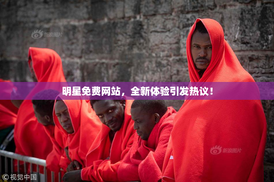明星免费网站，全新体验引发热议！