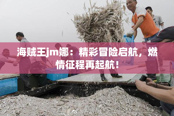 海贼王jm娜：精彩冒险启航，燃情征程再起航！
