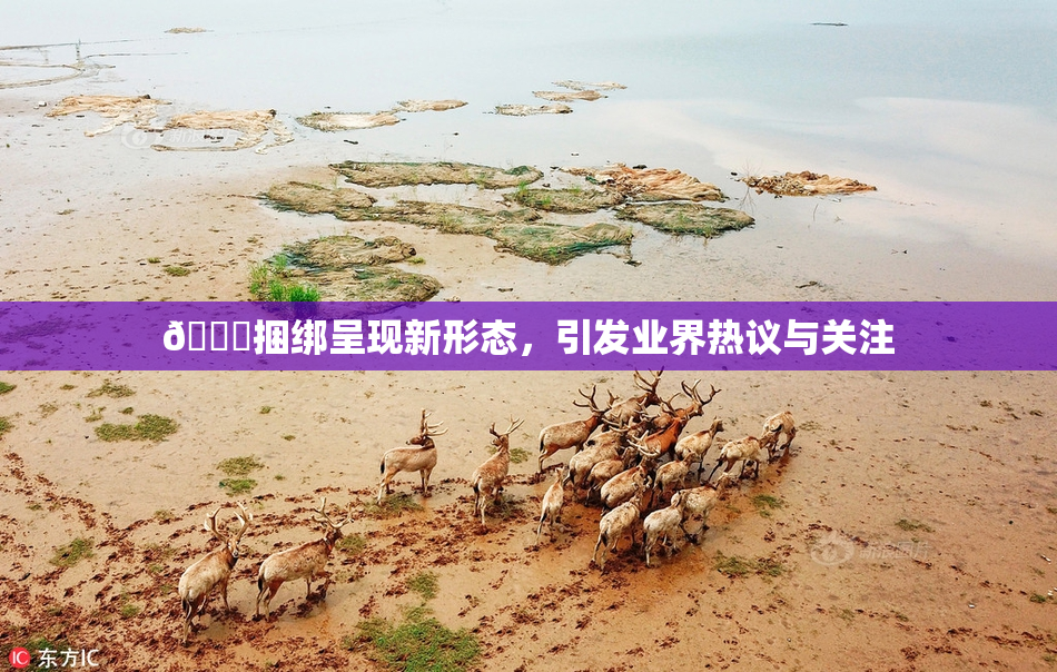 🔞捆绑呈现新形态，引发业界热议与关注