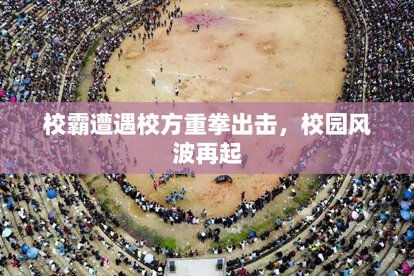 校霸遭遇校方重拳出击，校园风波再起