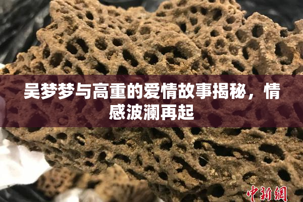 吴梦梦与高重的爱情故事揭秘，情感波澜再起