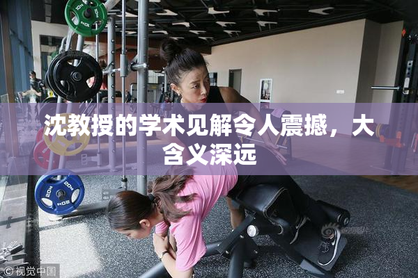 沈教授的学术见解令人震撼，大含义深远