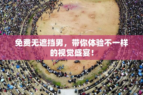 免费无遮挡男，带你体验不一样的视觉盛宴！