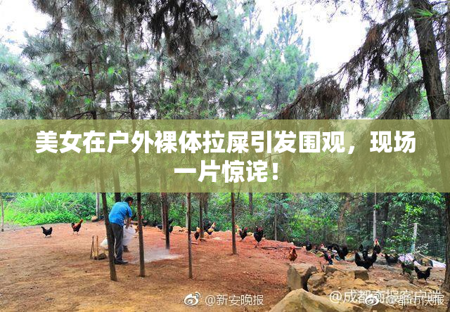 美女在户外裸体拉屎引发围观，现场一片惊诧！