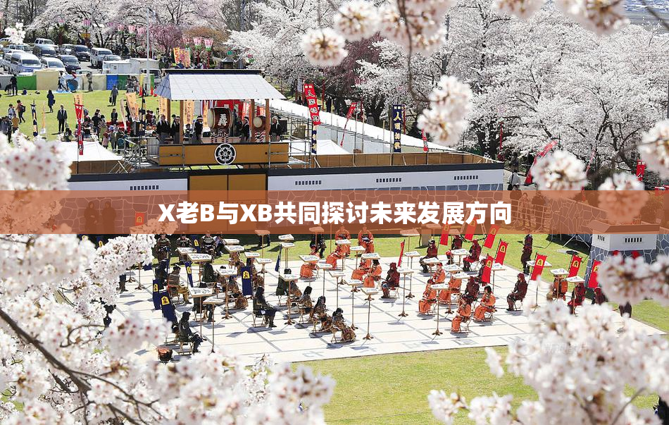 X老B与XB共同探讨未来发展方向
