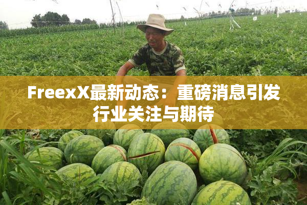 FreexX最新动态：重磅消息引发行业关注与期待