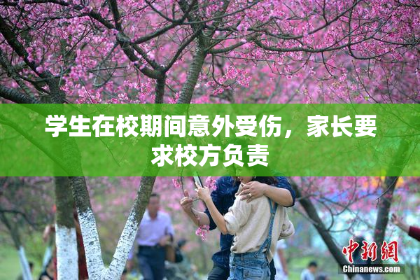 学生在校期间意外受伤，家长要求校方负责