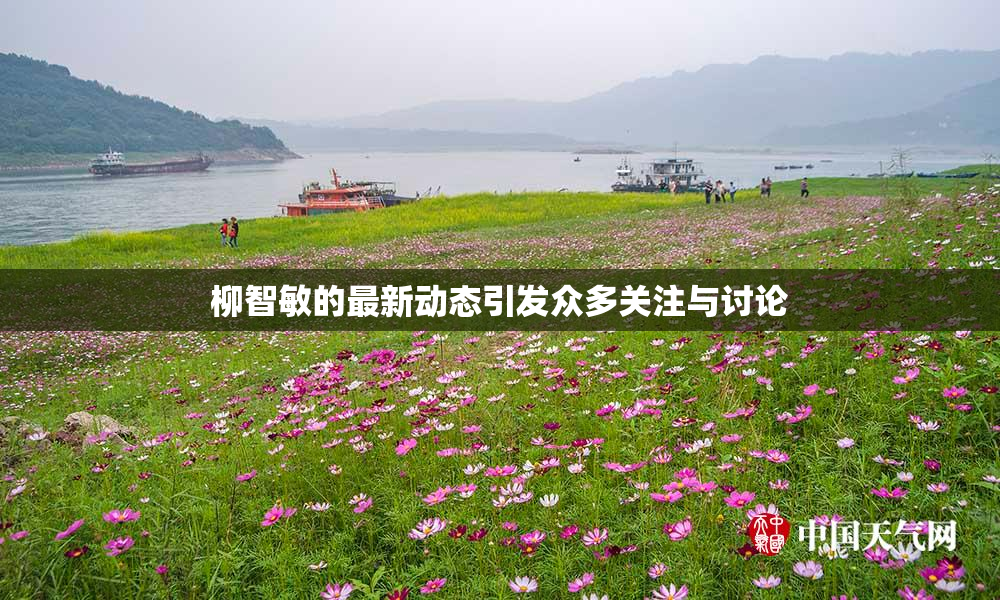 柳智敏的最新动态引发众多关注与讨论