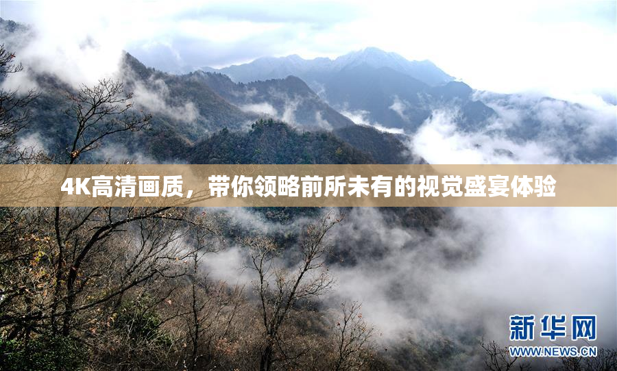 4K高清画质，带你领略前所未有的视觉盛宴体验