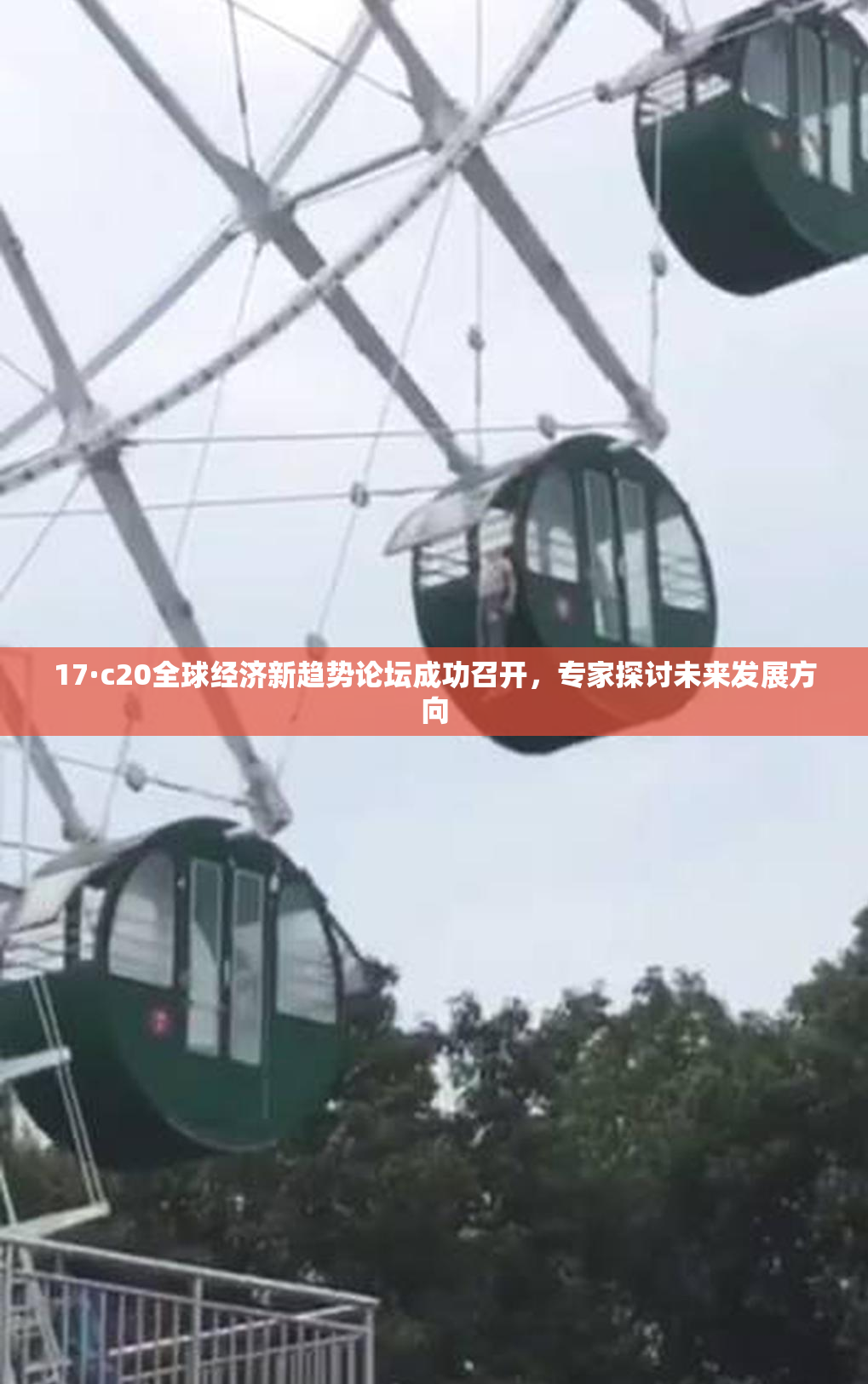 17·c20全球经济新趋势论坛成功召开，专家探讨未来发展方向