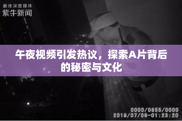 午夜视频引发热议，探索A片背后的秘密与文化