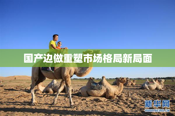 国产边做重塑市场格局新局面