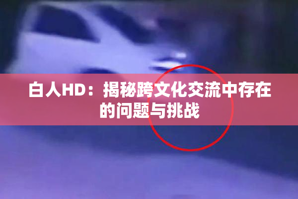 白人HD：揭秘跨文化交流中存在的问题与挑战