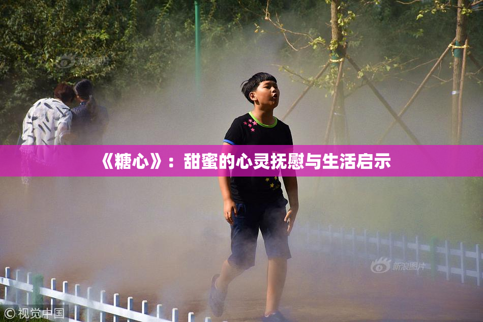 《糖心》：甜蜜的心灵抚慰与生活启示