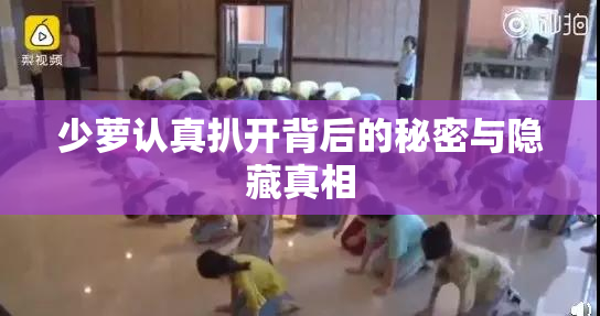 少萝认真扒开背后的秘密与隐藏真相
