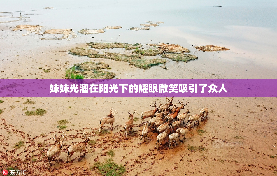 妹妹光溜在阳光下的耀眼微笑吸引了众人