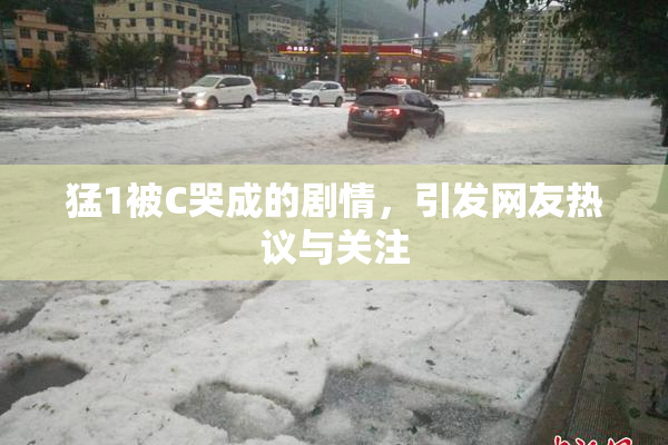 猛1被C哭成的剧情，引发网友热议与关注