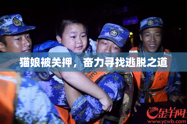 猫娘被关押，奋力寻找逃脱之道