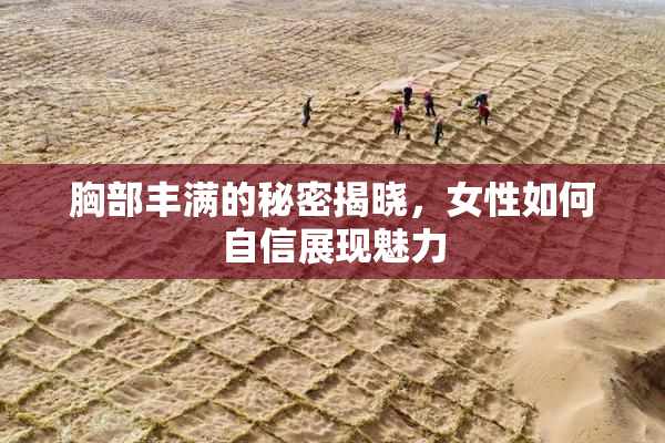 胸部丰满的秘密揭晓，女性如何自信展现魅力