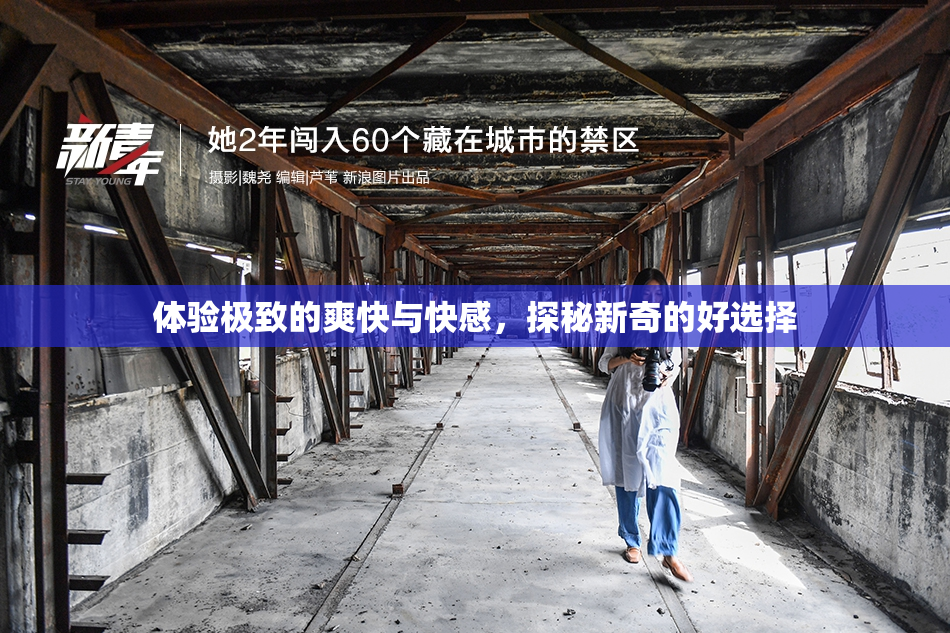 体验极致的爽快与快感，探秘新奇的好选择