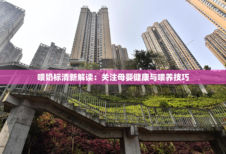 喂奶标清新解读：关注母婴健康与喂养技巧