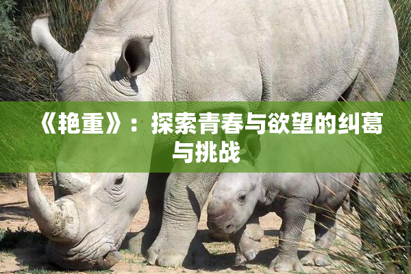 《艳重》：探索青春与欲望的纠葛与挑战