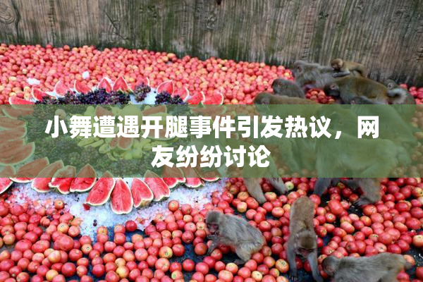 小舞遭遇开腿事件引发热议，网友纷纷讨论