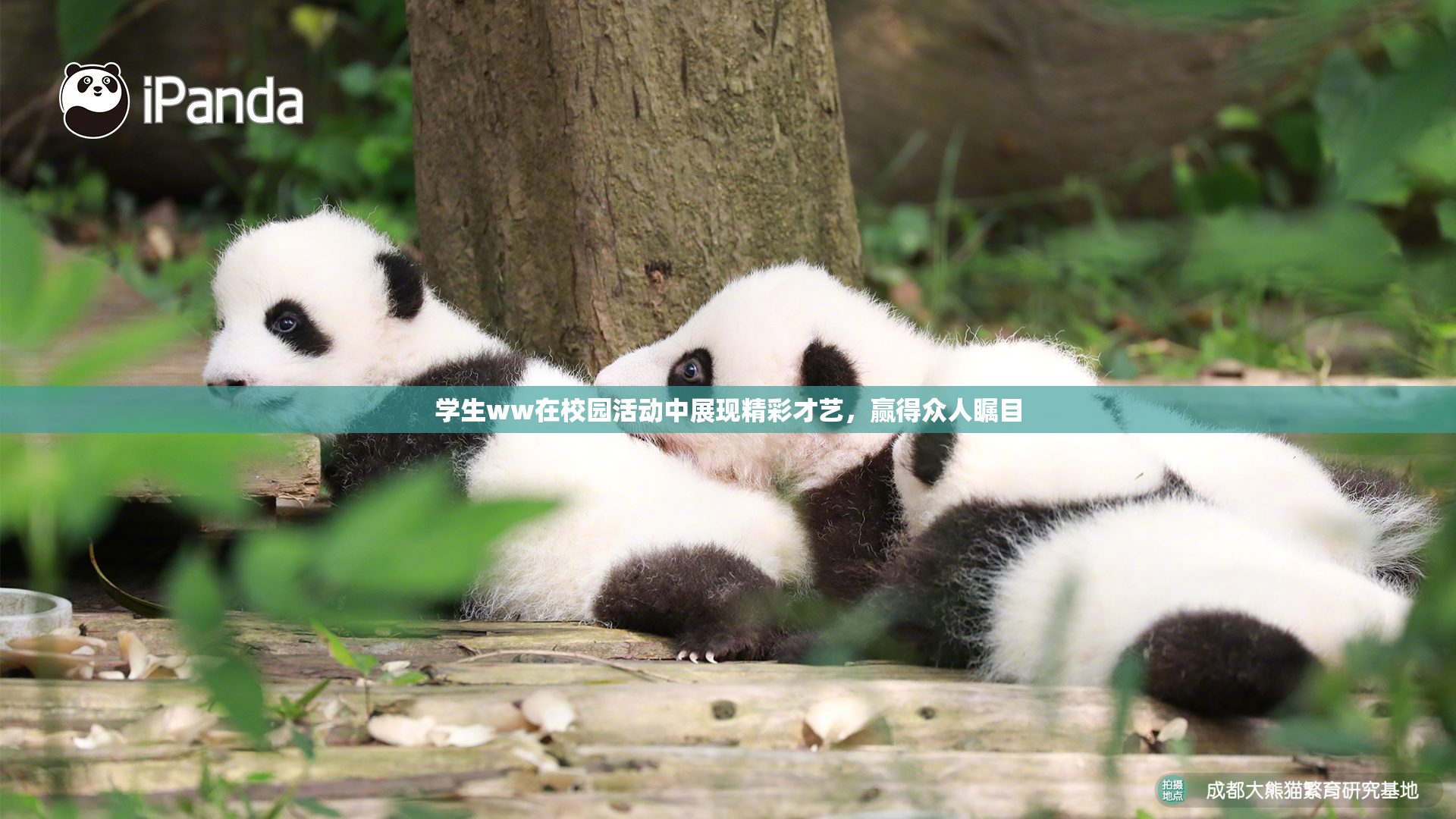 学生ww在校园活动中展现精彩才艺，赢得众人瞩目