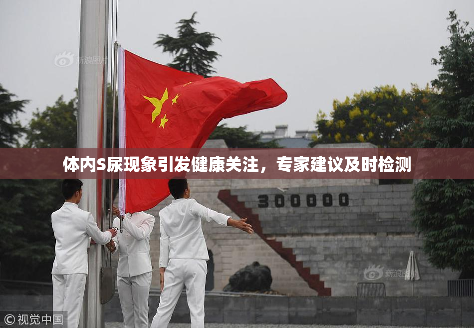体内S尿现象引发健康关注，专家建议及时检测