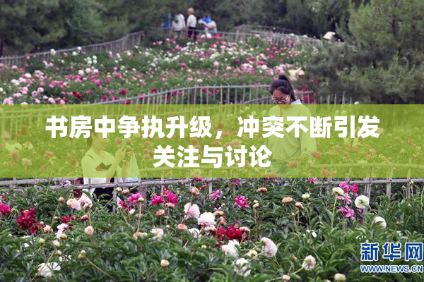 书房中争执升级，冲突不断引发关注与讨论