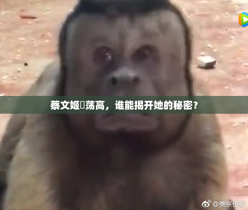 蔡文姬婬荡高，谁能揭开她的秘密？