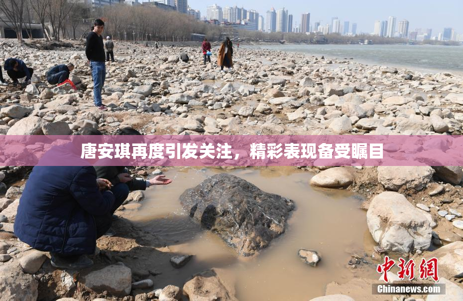 唐安琪再度引发关注，精彩表现备受瞩目