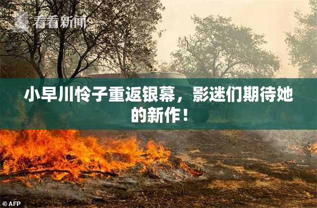 小早川怜子重返银幕，影迷们期待她的新作！