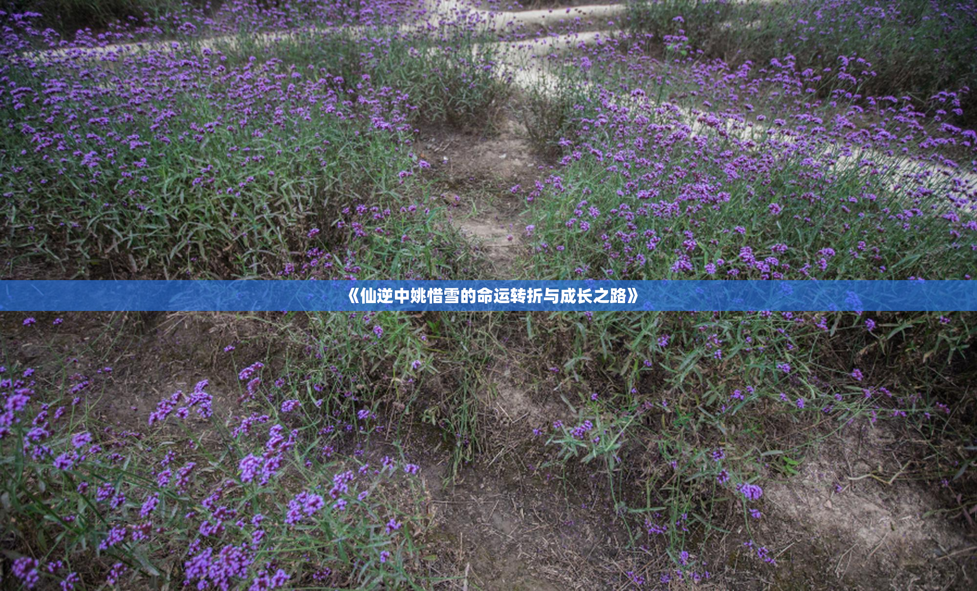 《仙逆中姚惜雪的命运转折与成长之路》