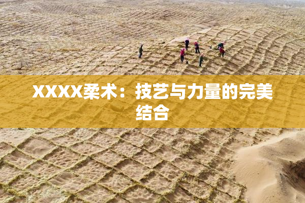 XXXX柔术：技艺与力量的完美结合