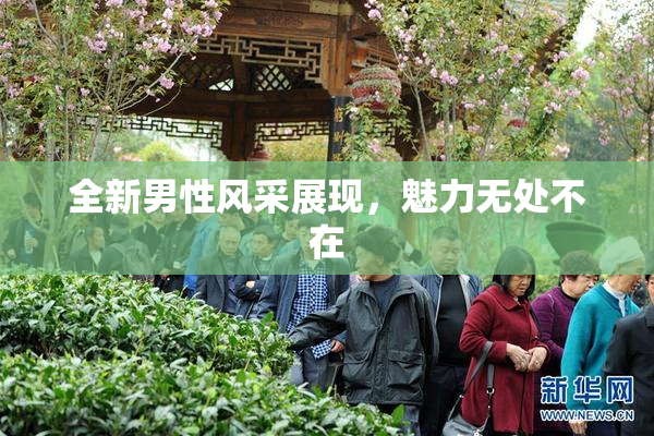 全新男性风采展现，魅力无处不在