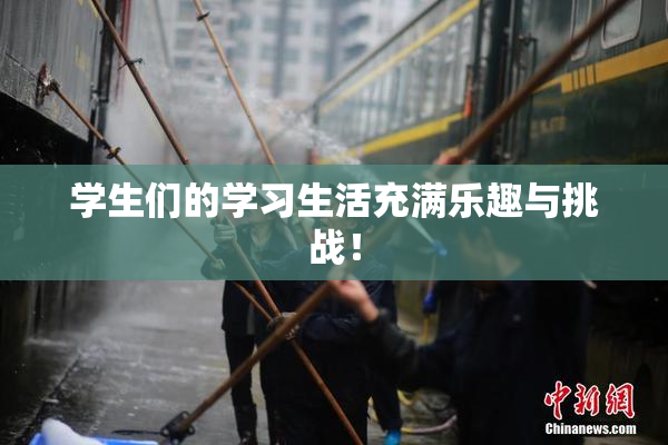 学生们的学习生活充满乐趣与挑战！
