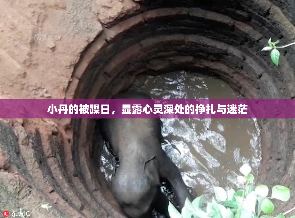 小丹的被躁日，显露心灵深处的挣扎与迷茫