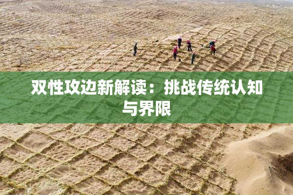 双性攻边新解读：挑战传统认知与界限