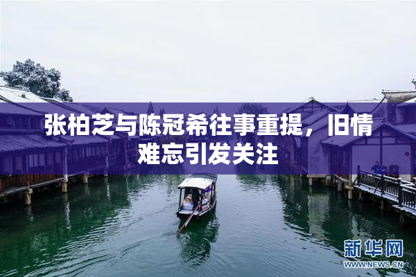 张柏芝与陈冠希往事重提，旧情难忘引发关注