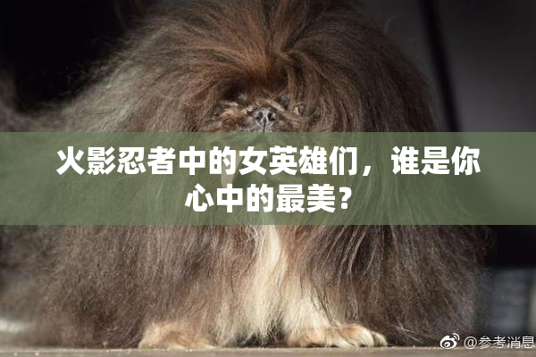 火影忍者中的女英雄们，谁是你心中的最美？