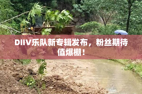 DIIV乐队新专辑发布，粉丝期待值爆棚！