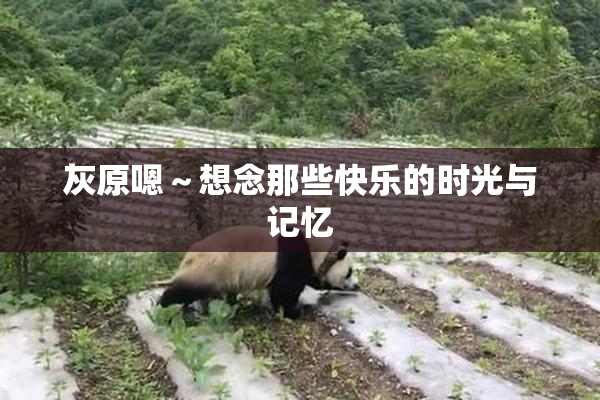 灰原嗯～想念那些快乐的时光与记忆