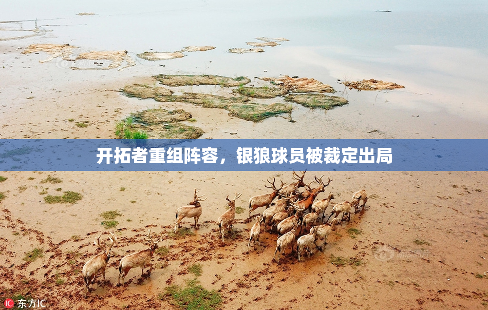 开拓者重组阵容，银狼球员被裁定出局