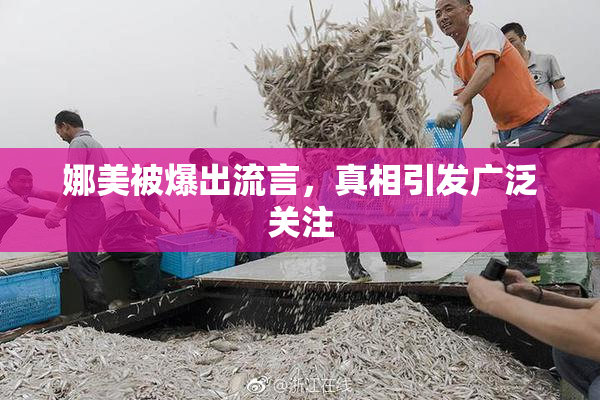 娜美被爆出流言，真相引发广泛关注
