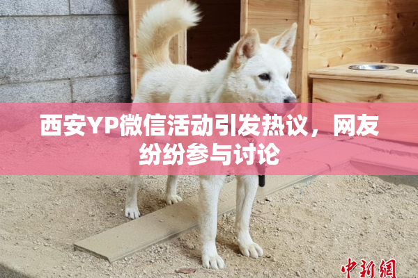 西安YP微信活动引发热议，网友纷纷参与讨论