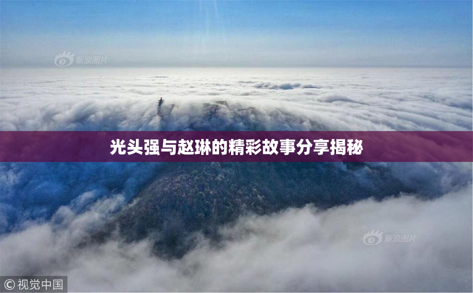 光头强与赵琳的精彩故事分享揭秘