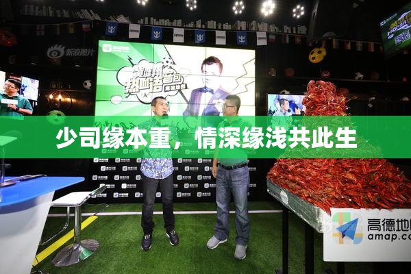 少司缘本重，情深缘浅共此生