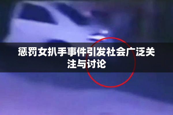 惩罚女扒手事件引发社会广泛关注与讨论