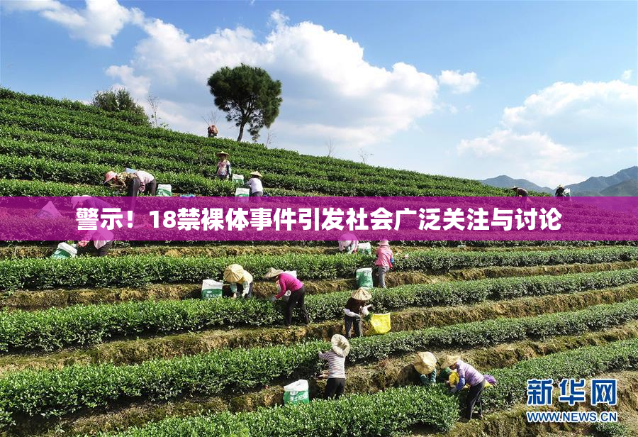 警示！18禁裸体事件引发社会广泛关注与讨论